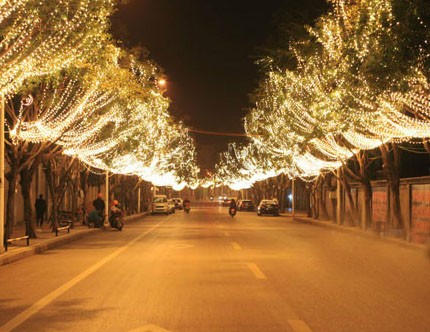 东营道路亮化